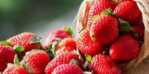 Read more about the article 5 Odd Things You Didn’t Know About The Troy Strawberry Festival